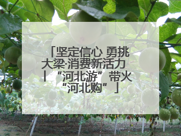 坚定信心 勇挑大梁·消费新活力丨“河北游”带火“河北购”