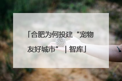 合肥为何投建“宠物友好城市”｜智库
