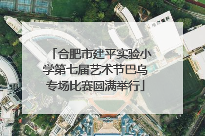 合肥市建平实验小学第七届艺术节巴乌专场比赛圆满举行