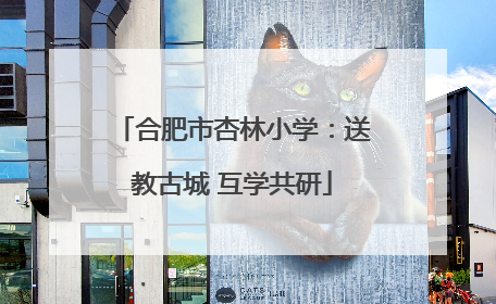 合肥市杏林小学：送教古城 互学共研