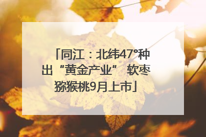同江：北纬47°种出“黄金产业” 软枣猕猴桃9月上市
