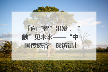 向“智”出发，“触”见未来——“中国传感谷”探访记