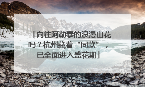向往阿勒泰的浪漫山花吗？杭州藏着“同款”，已全面进入盛花期