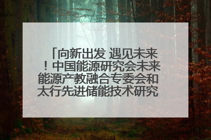 向新出发 遇见未来！中国能源研究会未来能源产教融合专委会和太行先进储能技术研究院在保定成立