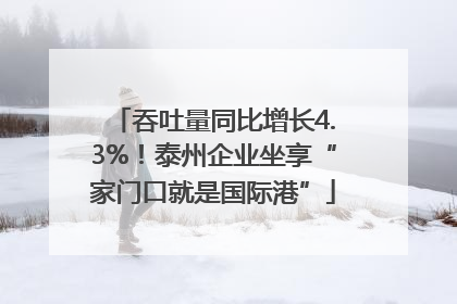 吞吐量同比增长4.3%！泰州企业坐享“家门口就是国际港”