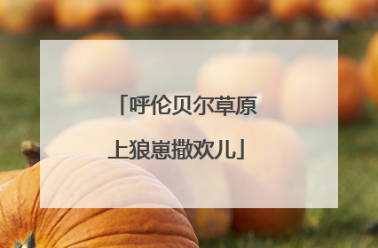 呼伦贝尔草原上狼崽撒欢儿