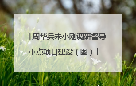 周华兵未小刚调研督导重点项目建设（图）