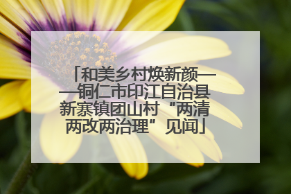 和美乡村焕新颜——铜仁市印江自治县新寨镇团山村“两清两改两治理”见闻