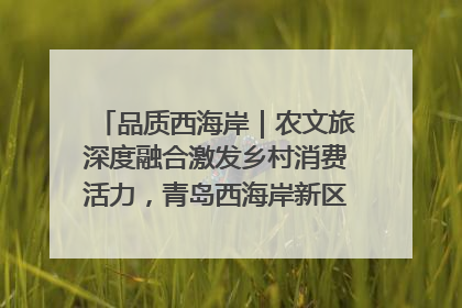 品质西海岸｜农文旅深度融合激发乡村消费活力，青岛西海岸新区的乡村振兴实践