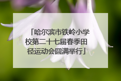 哈尔滨市铁岭小学校第二十七届春季田径运动会圆满举行