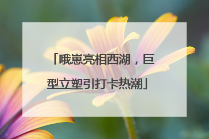 哦崽亮相西湖，巨型立塑引打卡热潮