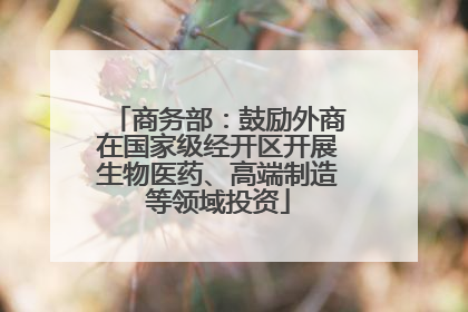 商务部：鼓励外商在国家级经开区开展生物医药、高端制造等领域投资