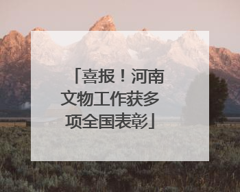 喜报！河南文物工作获多项全国表彰