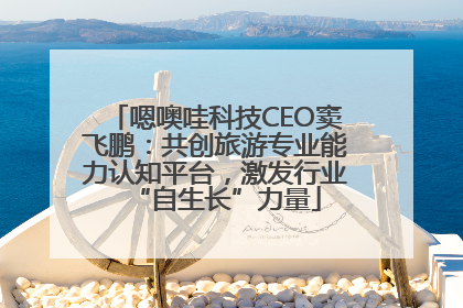 嗯噢哇科技CEO窦飞鹏：共创旅游专业能力认知平台，激发行业“自生长”力量