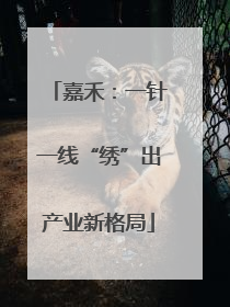 嘉禾：一针一线“绣”出产业新格局