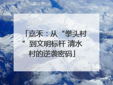 嘉禾：从“拳头村”到文明标杆 清水村的逆袭密码