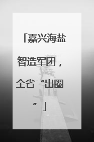 嘉兴海盐智造军团，全省“出圈”