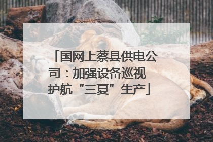 国网上蔡县供电公司：加强设备巡视 护航“三夏”生产