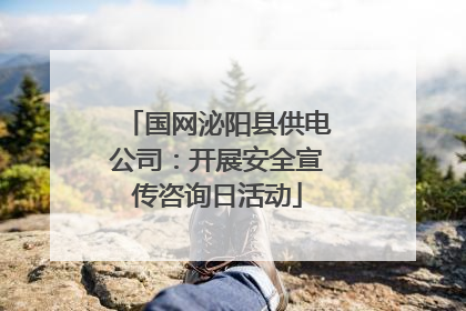 国网泌阳县供电公司：开展安全宣传咨询日活动