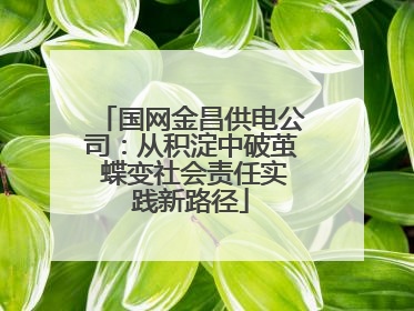 国网金昌供电公司：从积淀中破茧 蝶变社会责任实践新路径