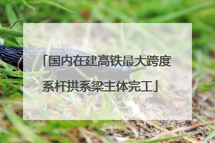 国内在建高铁最大跨度系杆拱系梁主体完工