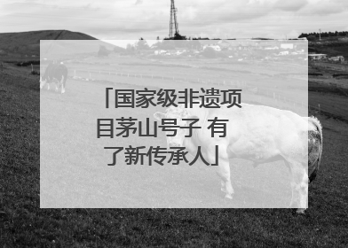 国家级非遗项目茅山号子 有了新传承人