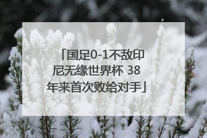 国足0-1不敌印尼无缘世界杯 38年来首次败给对手