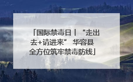 国际禁毒日丨“走出去+请进来” 华容县全方位筑牢禁毒防线