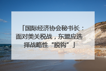 国际经济协会秘书长：面对美关税战，东盟应选择战略性“脱钩”
