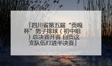 四川省第五届“贡嘎杯”男子排球（初中组）总决赛开赛 自贡这支队伍打进半决赛