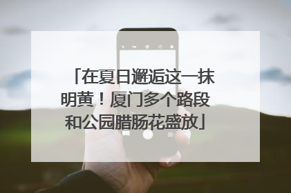 在夏日邂逅这一抹明黄！厦门多个路段和公园腊肠花盛放