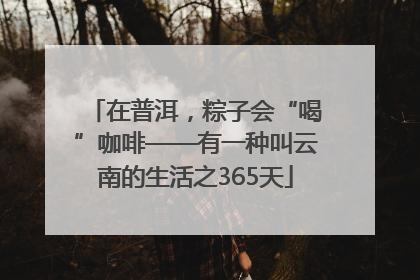 在普洱，粽子会“喝”咖啡——有一种叫云南的生活之365天