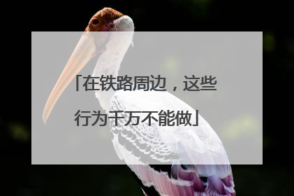 在铁路周边，这些行为千万不能做