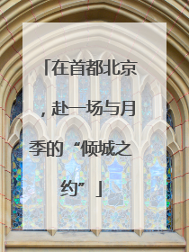 在首都北京，赴一场与月季的“倾城之约”