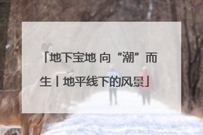 地下宝地 向“潮”而生丨地平线下的风景