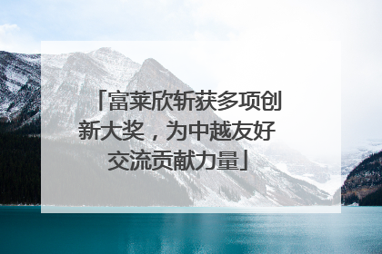 富莱欣斩获多项创新大奖，为中越友好交流贡献力量