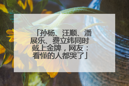 孙杨、汪顺、潘展乐、费立纬同时戴上金牌，网友：看懂的人都哭了