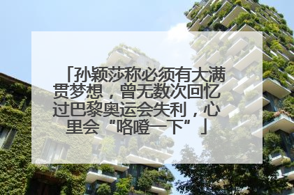 孙颖莎称必须有大满贯梦想，曾无数次回忆过巴黎奥运会失利，心里会“咯噔一下”