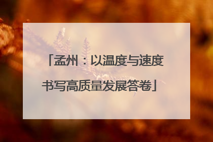 孟州：以温度与速度书写高质量发展答卷