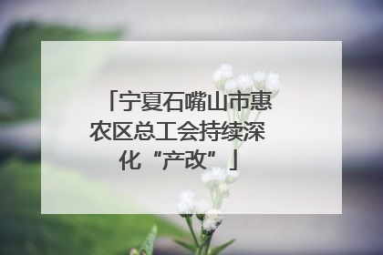 宁夏石嘴山市惠农区总工会持续深化“产改”
