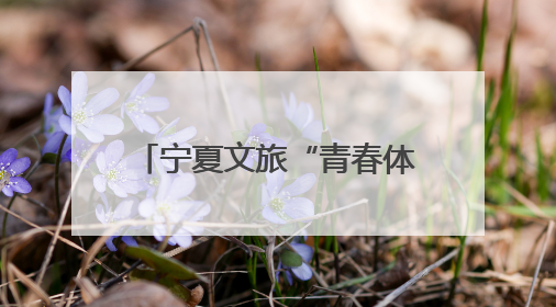 宁夏文旅“青春体验官”招募活动在蓉引发热烈反响