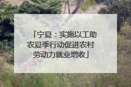 宁夏：实施以工助农夏季行动促进农村劳动力就业增收