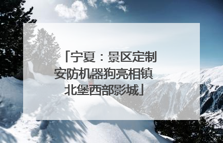 宁夏：景区定制安防机器狗亮相镇北堡西部影城