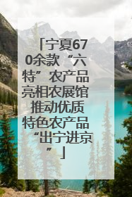 宁夏670余款“六特”农产品亮相农展馆 推动优质特色农产品“出宁进京”