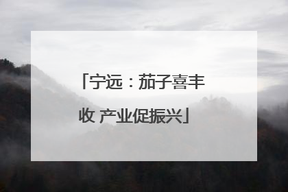 宁远：茄子喜丰收 产业促振兴