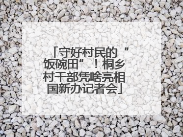 守好村民的“饭碗田”！桐乡村干部凭啥亮相国新办记者会
