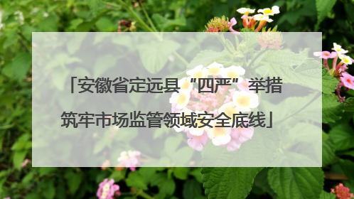 安徽省定远县“四严”举措筑牢市场监管领域安全底线
