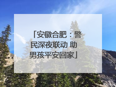安徽合肥：警民深夜联动 助男孩平安回家
