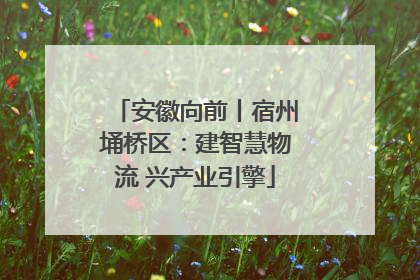 安徽向前丨宿州埇桥区：建智慧物流 兴产业引擎