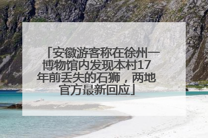 安徽游客称在徐州一博物馆内发现本村17年前丢失的石狮，两地官方最新回应